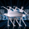 vj video background Ballet-Swan-Girl-Motion-Background-Ultra-HD-Video-Art-VJ-Loop-V_003