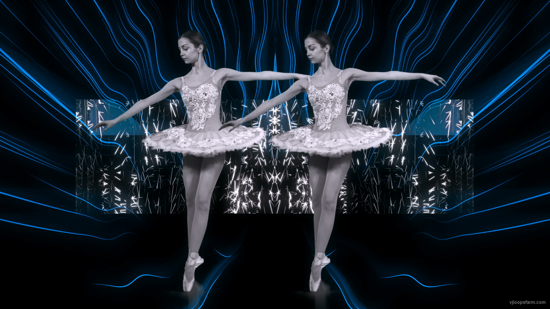 Ballet Swan Girl Motion Background Ultra HD Video Art VJ Loop