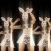 Bunny-Girls-Team-Power-Fist-Beat-Kombat-4K-Video-Art-VJ-Loop_005 VJ Loops Farm