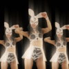 Bunny-Girls-Team-Power-Fist-Beat-Kombat-4K-Video-Art-VJ-Loop_006 VJ Loops Farm