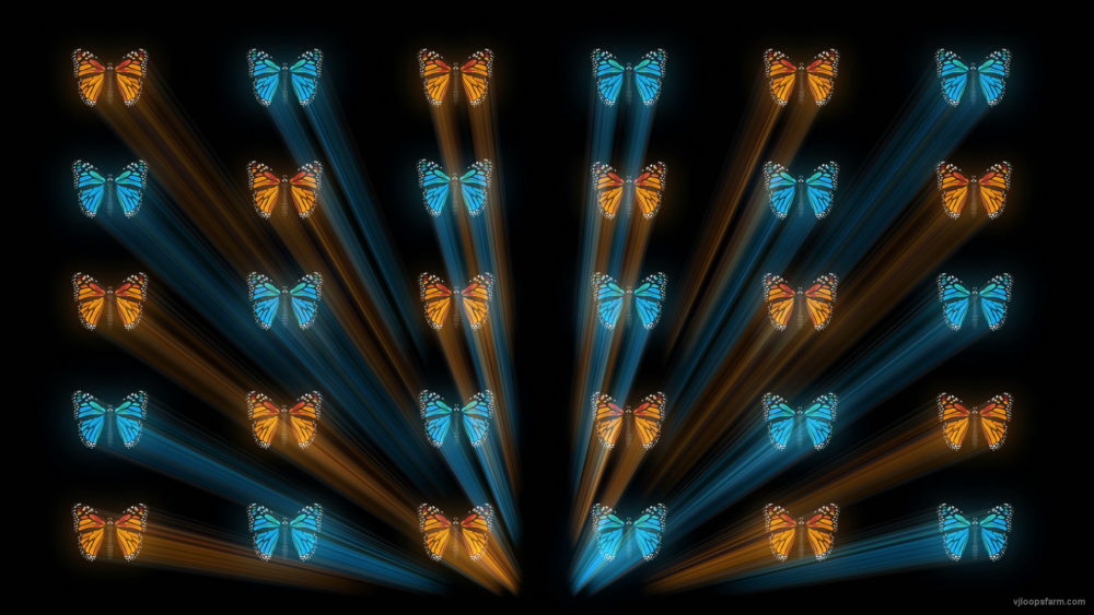 vj video background Butterflies-Dual-Color-Rays-insects-pattern-4K-Video-Art-VJ-Loop_003