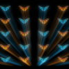 Butterflies-Dual-Color-Rays-insects-pattern-4K-Video-Art-VJ-Loop_004 VJ Loops Farm