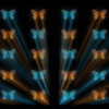 Butterflies-Dual-Color-Rays-insects-pattern-4K-Video-Art-VJ-Loop_005 VJ Loops Farm