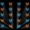 Butterflies-Dual-Color-Rays-insects-pattern-4K-Video-Art-VJ-Loop_008 VJ Loops Farm