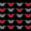 Butterflies-Dual-Color-Red-White-insects-pattern-4K-Video-Art-VJ-Loop_002 VJ Loops Farm