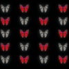 Butterflies-Dual-Color-Red-White-insects-pattern-4K-Video-Art-VJ-Loop_008 VJ Loops Farm