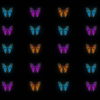 Butterflies-Tri-Color-insects-pattern-4K-Video-Art-VJ-Loop_008 VJ Loops Farm