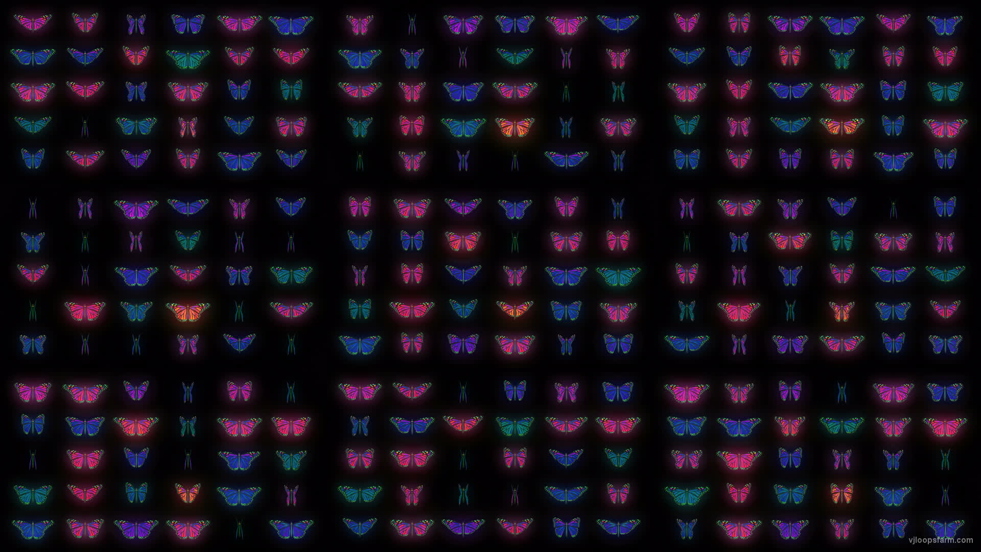 Color Psychedelic Butterfly PSY random fly insects collection light pattern 4K Video Art VJ Loop