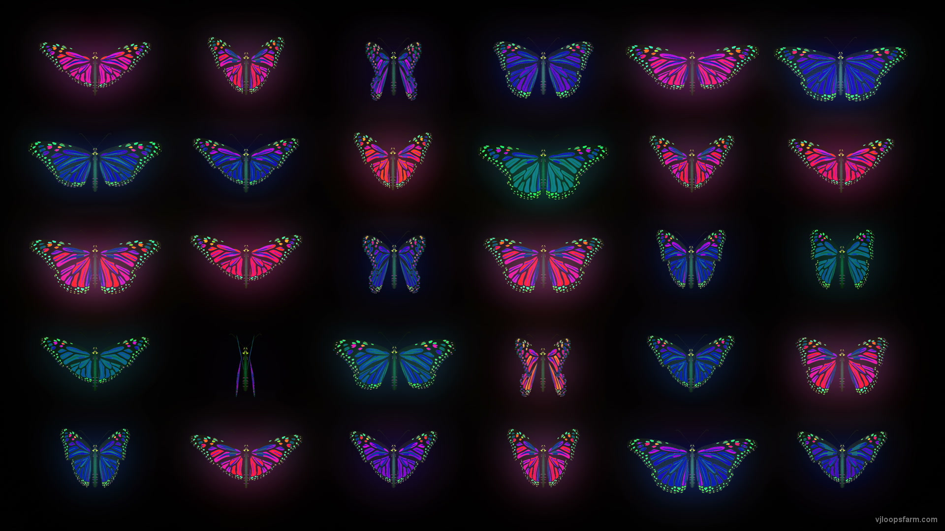 Color Psychedelic Butterfly PSY random fly insects collection light pattern 4K Video Art VJ Loop