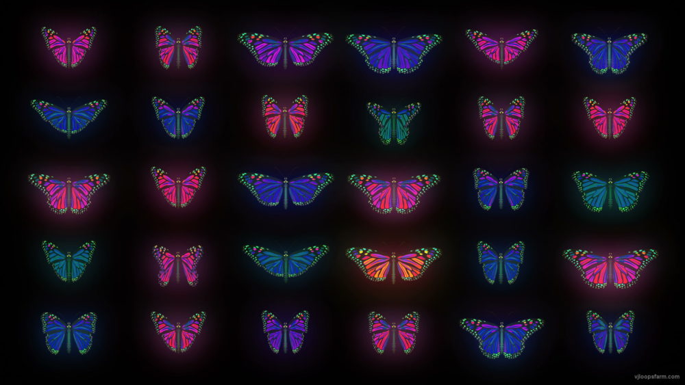vj video background Color-Psychedelic-Butterfly-PSY-random-fly-insects-collection-light-pattern-4K-Video-Art-VJ-Loop_003