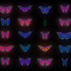 Color-Psychedelic-Butterfly-PSY-random-fly-insects-collection-light-pattern-4K-Video-Art-VJ-Loop_005 VJ Loops Farm