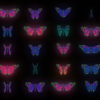 Color-Psychedelic-Butterfly-PSY-random-fly-insects-collection-light-pattern-4K-Video-Art-VJ-Loop_006 VJ Loops Farm