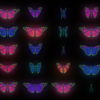 Color-Psychedelic-Butterfly-PSY-random-fly-insects-collection-light-pattern-4K-Video-Art-VJ-Loop_007 VJ Loops Farm