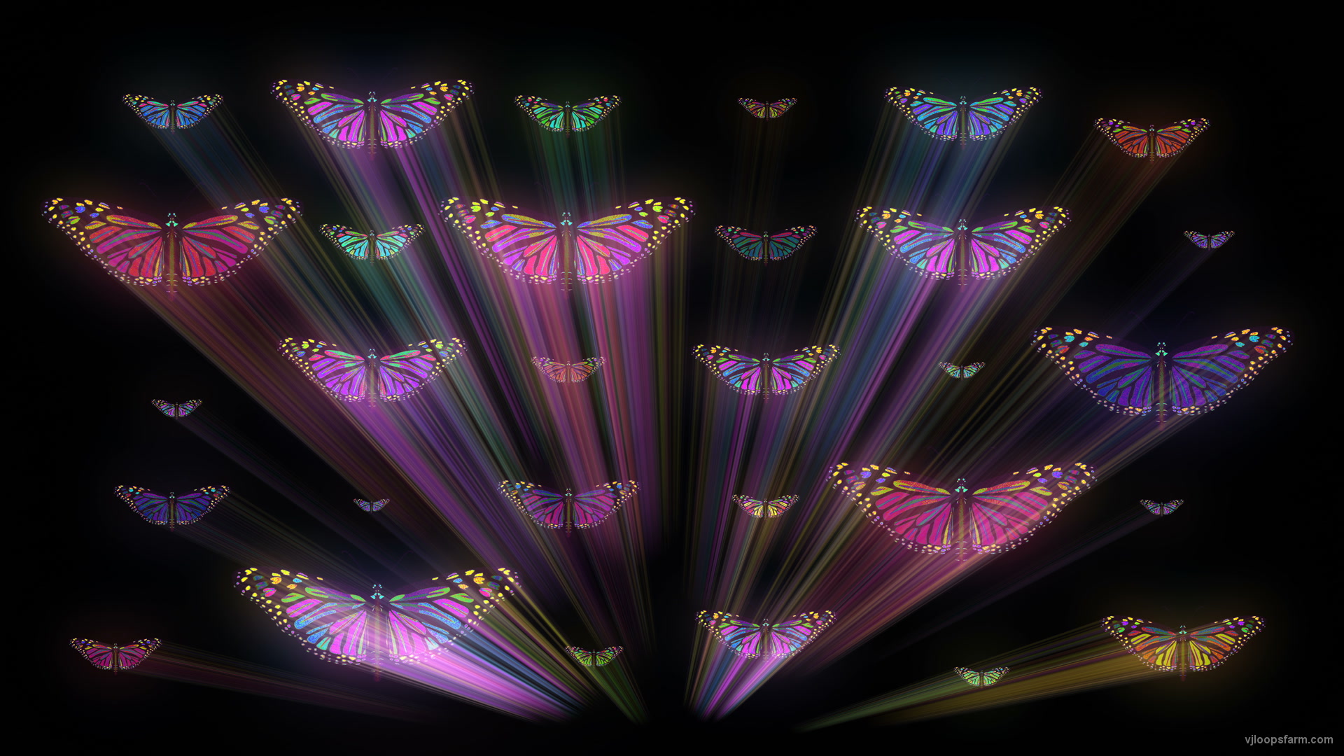 Colorful Psychedelic Butterfly PSY insects collection light pattern 4K Video Art VJ Loop