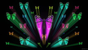 vj video background Colorful-Rays-Center-Stage-glow-Butterflies-insects-pattern-4K-Video-Art-VJ-Loop_003
