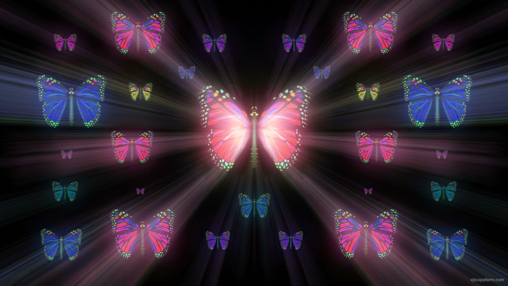 vj video background Colorful-Rays-Psychedelic-Center-Butterfly-PSY-insects-collection-light-pattern-4K-Video-Art-VJ-Loop_003