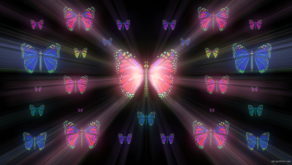 vj video background Colorful-Rays-Psychedelic-Center-Butterfly-PSY-insects-collection-light-pattern-4K-Video-Art-VJ-Loop_003