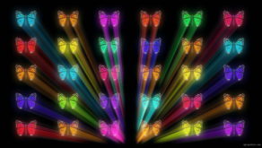vj video background Colorful-Rays-glow-Butterflies-insects-pattern-4K-Video-Art-VJ-Loop_003