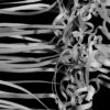 Curtain-explosion-video-art-abstract-3D-Cloth-Video-Mapping-VJ-Loop_004 VJ Loops Farm