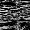 Distorted-3D-curtain-cloth-ribbons-animation-video-mappping-loop_007 VJ Loops Farm