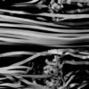 Distorted-3D-curtain-cloth-ribbons-animation-video-mappping-loop_008 VJ Loops Farm