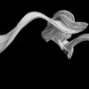 Elegant-Silk-Fabric-3D-Animated-stripe-ribbon-displace-effect-VJ-Loop_008 VJ Loops Farm