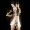 Fist-Beat-Fight-Bunny-Playboy-Go-Go-Dancing-Girl-Stage-4K-Video-Art-Vj-Loop_005 VJ Loops Farm