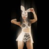 Fist-Beat-Fight-Bunny-Playboy-Go-Go-Dancing-Girl-Stage-4K-Video-Art-Vj-Loop_006 VJ Loops Farm