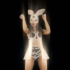 Fist-Beat-Fight-Bunny-Playboy-Go-Go-Dancing-Girl-Stage-4K-Video-Art-Vj-Loop_007 VJ Loops Farm