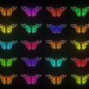Glow-Pattern-Light-Fly-Butterflies-Collection-Video-Art-Motion-Background-4K-VJ-Loop_002 VJ Loops Farm