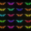 Glow-Pattern-Light-Fly-Butterflies-Collection-Video-Art-Motion-Background-4K-VJ-Loop_009 VJ Loops Farm