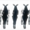 Noir-Strobing-Jumping-Girls-on-Black-Deep-background-4K-Video-Art-VJ-Loop_002 VJ Loops Farm
