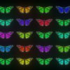 Random-Color-Light-Fly-Butterfly-Collection-Video-Art-Motion-Background-4K-VJ-Loop_007 VJ Loops Farm