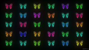 vj video background Random-fast-Color-change-Butterfly-Collection-Video-Art-Motion-Background-4K-VJ-Loop_003
