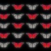 Butterfly_Effect_4K_VJ_Loops