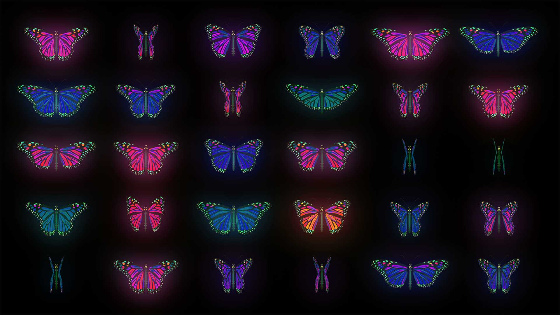 Butterfly Collection – Video VJ Loops Pack Vol.67