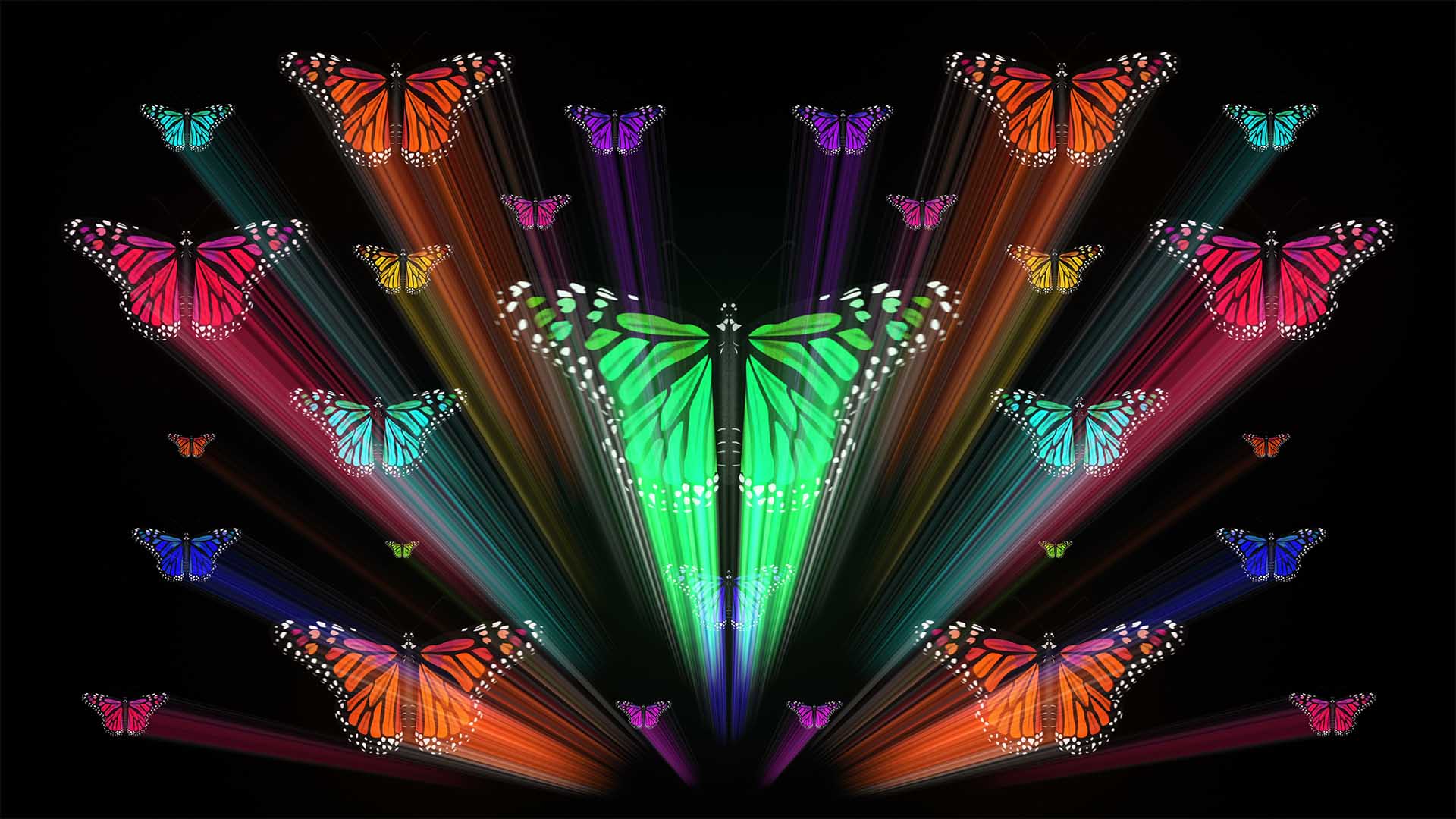 Butterfly Collection – Video VJ Loops Pack Vol.67