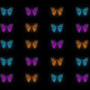 Butterfly_effect_Vj_Loop_video wallpaper