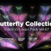 Butterly-video-art-motion-background
