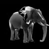 elephant video vj loop