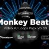 Monkey-Beats-Video-art-vj-loop