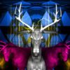 neon deer visuals video footage vj
