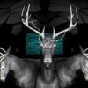 neon deer visuals video footage vj