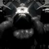 vj loops monkey ape gorilla 3d animation
