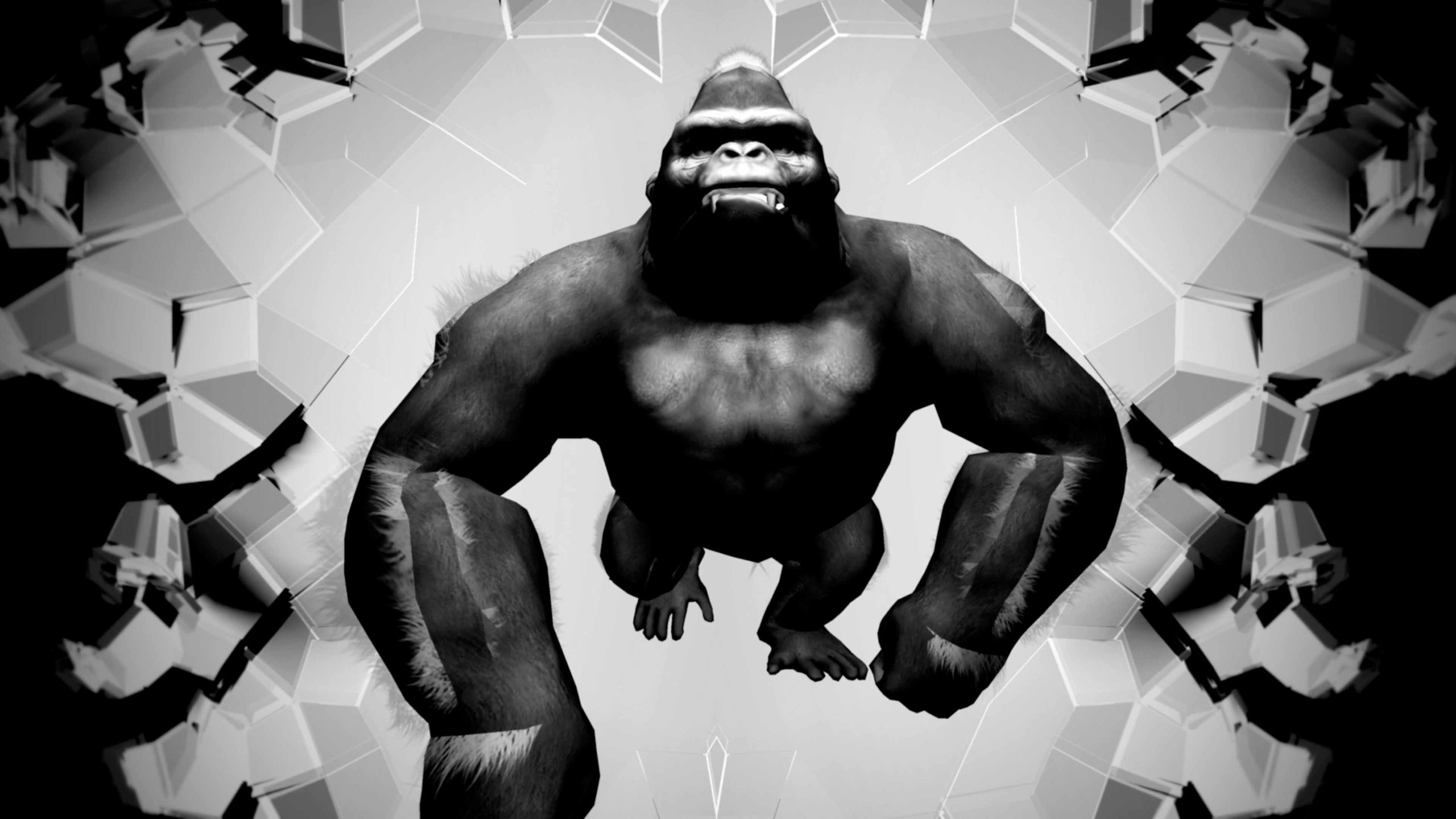 Monkey Beats – Video VJ Loops Pack Vol.59