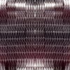 Abstract-Black-Foil-Wireframe-Video-Art-Motion-Background-Pattern-Video-Art-VJ-Loop_001 VJ Loops Farm