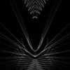 Trinal-white-motion-laser-lines-Cat-Eye-effect-on-black-motion-background-VJ-Loop_009 VJ Loops Farm