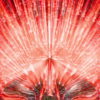 Bloodshot-Red-Light-Rays-Abstract-Background-Texture-Video-Loop-Z_002 VJ Loops Farm