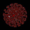 Circle-Eye-Corona-Virus-Covid19-Ball-Rotating-with-strobing-effect-4K-Video-VJ-Loop-1920_004 VJ Loops Farm