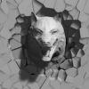 Angry-Wolf-3D-Projection-Head-demolish-on-wall-Mapping-Loop-gyqaxh-1920_004 VJ Loops Farm